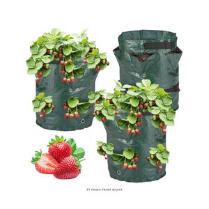 Sac de culture vertical en tissu HDPE de haute qualité pour fraises, 8 poches, 36x46cm, réutilisable - Product Image 1