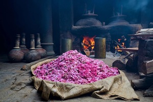 ALOURA OILS Ruh Gulaab SOUL ROSE Huile Attar - Parfumerie et Aromathérapie à base d'eau et de fleurs, Fabriqué dans l'Uttar Pradesh - Product Image 2