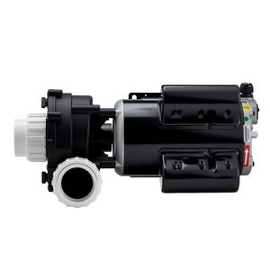 Pompa Elettrica Sundance 2 HP per SPA, Pompa per Vasca Idromassaggio a 2 Velocità, Porta da 2 Pollici, 139.5 GPM (Alta Velocità), 66.5 GPM (Bassa Velocità), 115V 60Hz, Telaio in Metallo 48 - Product Image 1