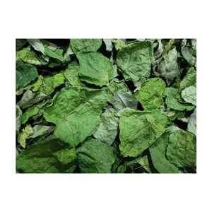 Hojas de Ginseng de Alta Demanda para Mercados Locales y de Exportación - Product Image 3