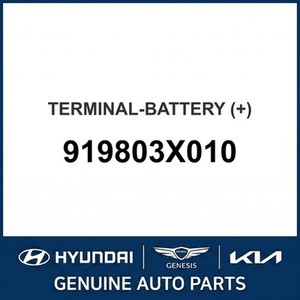 Nouvelles batteries G80 919803X010 - Product Image 1