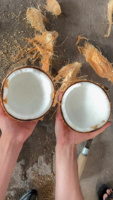 Techmifood Verse Gerijpte Half-Gepelde Kokosnoten Bruine Schil Tropisch Fruit Kamerstemperatuur Opslag 90 Dagen Houdbaarheid Water Bulk