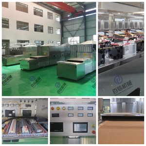 Tunnel de convoyeur industriel, séchoir à micro-ondes, stérilisateur d'épices, d'ail et de légumes, équipement de séchage à micro-ondes - Product Image 5