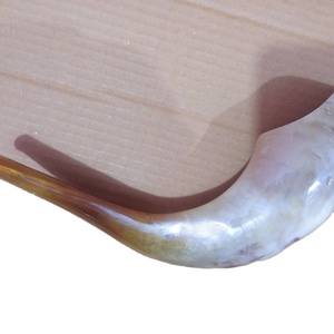 Cuerno de Shofar de cabra Natural 100%, cuerno de Shofar pulido de cabra, venta al por mayor, cuerno de Shofar, propósito religioso de Craftsy Home - Product Image 1