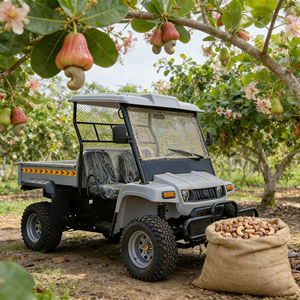Mini jeep électrique tout-terrain 4x4 puissant, véhicule utilitaire agricole électrique utilisé dans la ferme - Product Image 1