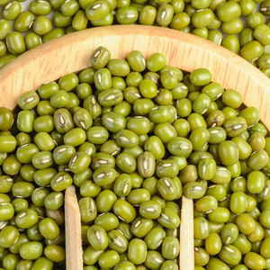 Cardamomo Verde Premium, Granos Enteros Grandes de Cardamomo Verde de Calidad, 8 mm - Product Image 5