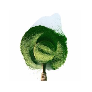 Polvo de Espinaca Liofilizada Shubhalaxmi, 0% Humedad, 2 Años de Vida Útil, Empaque Personalizado a Granel, Grado Alimenticio, Hecho en Maharashtra - Product Image 1