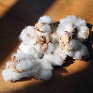 Fil de coton peigné 100% Ne 80/1, fil blanc brut compacté pour le tricot et le tissage - Product Image 5