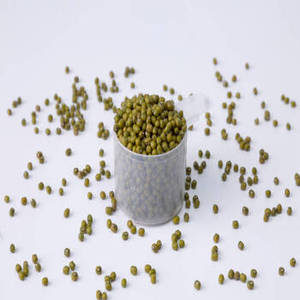 Poudre d'isolat de protéine de lait de vache indien FitTree prête à l'exportation, fabricants mondiaux de nutrition végétalienne, aliments végétaux de première qualité, 24 mois - Product Image 2