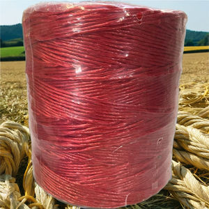 เชือก PP ราฟเฟียจากโรงงานอินเดีย สำหรับมัดฟาง ใช้ในงานประมงและเกษตรกรรม เครื่องมัดฟาง ความหนา 18,000 เดนิเยอร์ และ 24,000 เดนิเยอร์ - Product Image 1