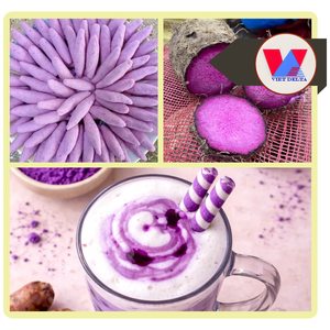 Poudre d'igname violette séchée par pulvérisation de haute qualité, 100 % pure, extrait de Dioscorea Alata, soluble dans l'eau, farine d'Ube pour boissons et desserts - Product Image 2