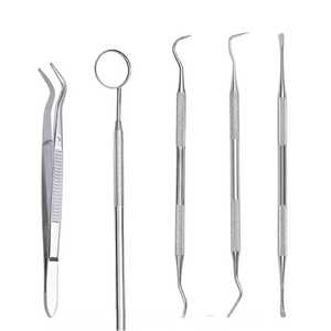 ชุดตรวจฟัน SEVMEK INSTRUMENTS ขายดี ชุดอุปกรณ์ตรวจฟันด้ามจับพลาสติกสีเงิน พร้อมกระจกตรวจฟันสแตนเลส สำหรับตรวจคราบหินปูน - Product Image 1