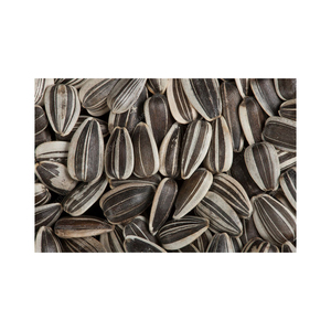 Oferta de descuento en semillas de girasol premium preparadas para pedidos de envío a granel - Product Image 5