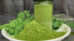 Poudre de Moringa Biologique de Haute Qualité 99% Pure, Séchée par Pulvérisation et Lyophilisation pour Thés et Boissons aux Herbes, Approvisionnement en Vrac 10kg, Marque Viet Delta - Product Image 2