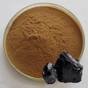 Poudre d'extrait de Shilajit 100% authentique, poudre d'extrait de Shilajit de l'Himalaya de qualité supérieure, soutient l'énergie et la nutrition minérale chez les hommes - Product Image 6