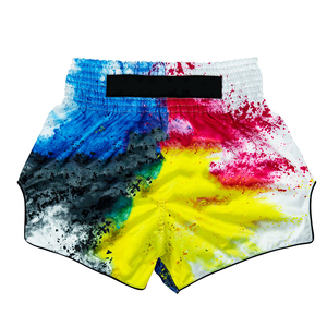 Shorts MMA pour hommes à impression sublimée, shorts UFC, shorts de grappling, vêtements d'arts martiaux, short de boxe, short de combat MMA - Product Image 3