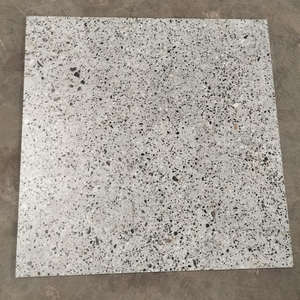 Baldosas de Porcelana Gris Cronos de 60x60 cm, Acabado Mate, Imitación de Textura de Piedra, para Uso en Interiores - Product Image 5