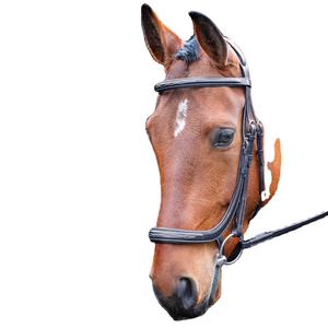 Brida cavesson anatómica - Product Image 1