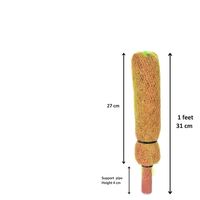 Poteau en coco naturel de 1 pied (12 pouces) en fibre de coco pour plantes grimpantes