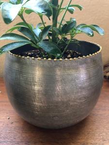 Maceta de exterior atemporal, soporte para plantas, perfecta para jardín, balcón, patio y decoración del hogar, hecha a mano en India. - Product Image 4