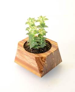 Jardinière longue en bois massif naturel pour balcon, idéale pour la culture d'herbes et de fleurs, avec option d'étiquetage privé - Product Image 3