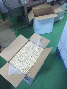 Anacardos FarmFresh 100% Anacardos orgánicos crudos vietnamitas listos para exportación - Product Image 4