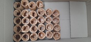 Vietnam Bamboo <b>Cup</b> Factory Supporting Custom Logo Bulk Orders and Private Label Manufacturing - Product Image 2