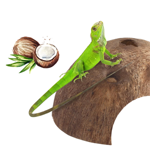 ที่หลบซ่อนสำหรับสัตว์เลื้อยคลานจากกะลามะพร้าว ราคาดีที่สุด, ถ้ำสำหรับกิ้งก่า แมงมุม ปลาในตู้ปลา, บ้านสัตว์เลี้ยงขนาดเล็กที่เป็นมิตรกับสิ่งแวดล้อม จากโรงงานเวียดนาม - Product Image 4