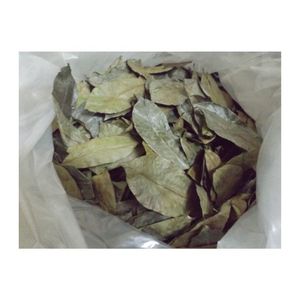 Hojas de guanábana enteras secas, las más vendidas, para envasado de té único en supermercados y para la industria alimentaria. - Product Image 3