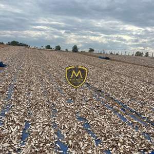 Pellets de Residuos de Tapioca de Alta Calidad para Alimentación Animal – Fuente de Energía Derivada de Yuca - Product Image 6