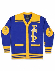 New Latest Zeta Phi Beta V-Neck Cardigan Blue White Chenille Letters Full Sleeve Sweater Autumn Wear - Product Image 4