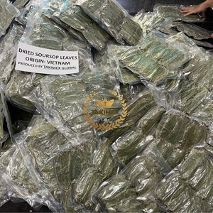 Thé aux feuilles de corossol en marque privée, sans OGM, en sachet sous vide de 100 grammes, très haute qualité, fabriqué au Vietnam - Product Image 6