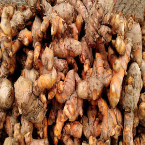 Cúrcuma Dorada India Natural en Trozos para Importadores a Granel, Comerciantes Mayoristas de Especias e Ingredientes Alimenticios Internacionales - Product Image 3