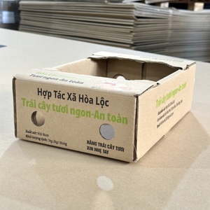Caja de Cartón para Fruta Fresca de Alta Calidad para Uso Comercial, Materiales Reciclados Ecológicos, Personalizable OEM ODM, Proveedor Vietnamita Quyet Thang - Product Image 2