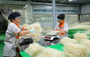 Fabricante de Fideos Instantáneos Saludables – Fideos Bajos en Grasa, No Fritos para Venta al por Mayor y Exportación - Product Image 5