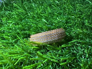 Anillo de Moissanita de Calidad de Exportación, Estilo Hiphop, Artesanía Fina, Joyería Premium para Uso Diario, Disponible a Precio de Mayoreo - Product Image 4