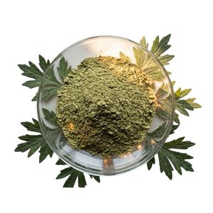 Made In Vietnam Factory Price Delicious Premium Quality <b>Best</b> Selling Mugwort Powder Customized Packaging - Product Image 2