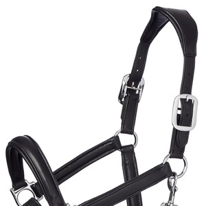 Licol de polo traditionnel argentin de haute qualité, cousu main en nylon/cuir, avec fil ciré et quincaillerie en laiton robuste réglable - Product Image 4