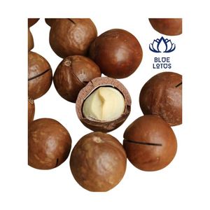 Nueces de Macadamia Tostadas Ecológicas de Alta Calidad, Snack Crujiente Sostenible para la Dieta Diaria - Product Image 1