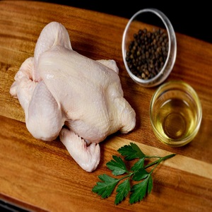 Poulet surgelé nutritif pour restaurants, hôtels et commerces de détail, avec traitement professionnel et prix compétitifs. - Product Image 5