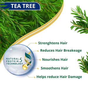 Champú herbal natural enriquecido con aceite de árbol de té diseñado para el control de la caspa, comodidad del cuero cabelludo, fortalecimiento del cabello y limpieza suave. - Product Image 2