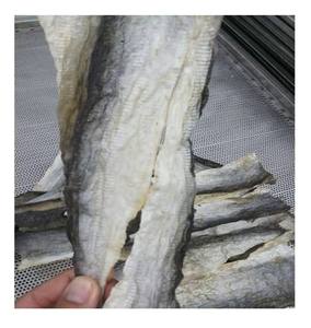 หนังปลาปังกาเซียส คุณภาพสูง // ขาย // ผลิตในเวียดนาม - Product Image 2