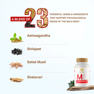 Tabletas de Extracto Herbal Vigoroyal M, Fórmula Ayurvédica Premium con Ashwagandha, Safed Mulsi, Shilajit y Shatavari - Product Image 3