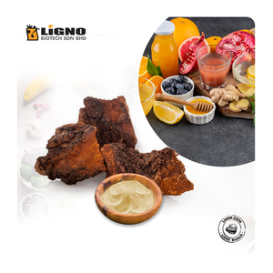 Polvo de hongo Chaga de Malasia - Alto en antioxidantes para té y aperitivos funcionales, certificado GMP OEM - Product Image 1