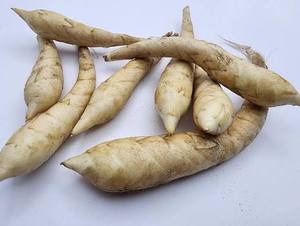 Poudre d'amidon de racine d'arrowroot pure, sans gluten, ingrédient alimentaire naturel - Product Image 1