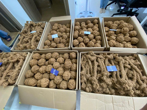 Juguete Masticable para Perros de Fibra de Coco Natural, Limpia los Dientes, Masajea las Encías, Alivia el Aburrimiento y la Ansiedad, No Tóxico, Duradero - Product Image 2