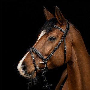 Brida de Cuero para Caballo de Estilo Western, Hecha a Medida, de la Mejor Calidad, Accesorios de Lujo para Caballos de Alto Rendimiento - Product Image 4