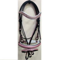 Bridon en cuir durable pour cheval, réglable, ajustement confortable, quincaillerie robuste, équipement d'équitation, plusieurs tailles