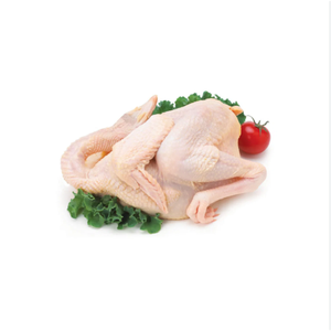 Pollo Entero Congelado IQF en Empaque de 25 kg con Carne Nutritiva y 1 Año de Vida Útil para Distribución Comercial de Alimentos - Product Image 1