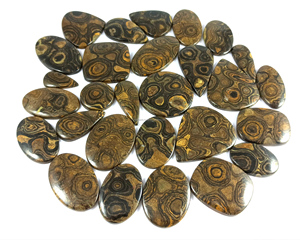 Cabochon de stromatolite naturel en gros, cabochon de stromatolite en vrac pour bijoux, cabochon pour la fabrication de pendentifs et bagues en argent - Product Image 5